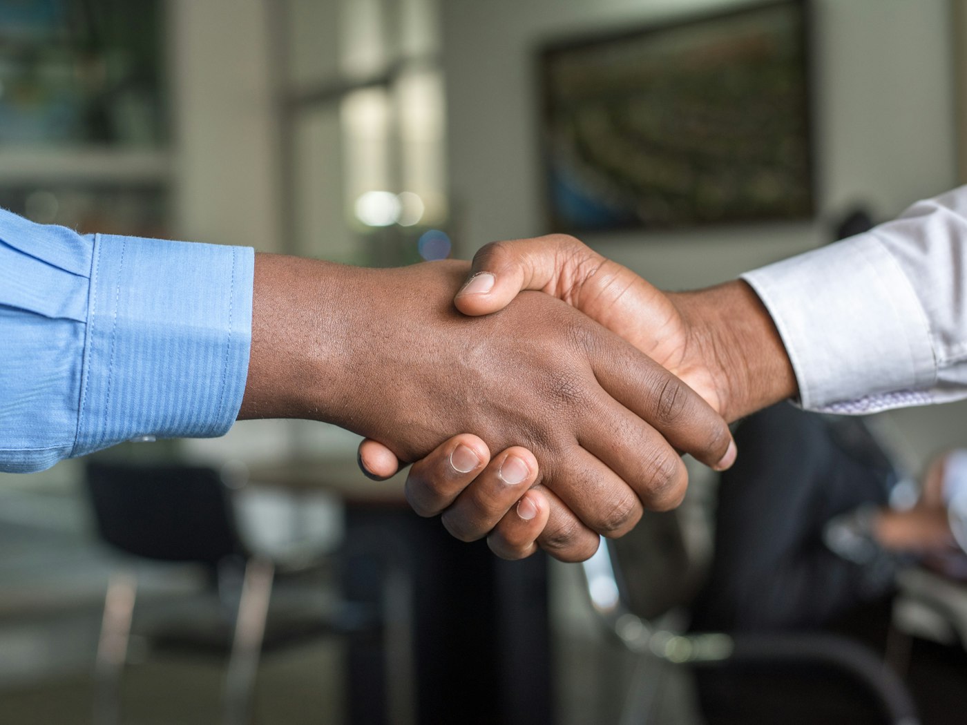 Business handshake between two professionals