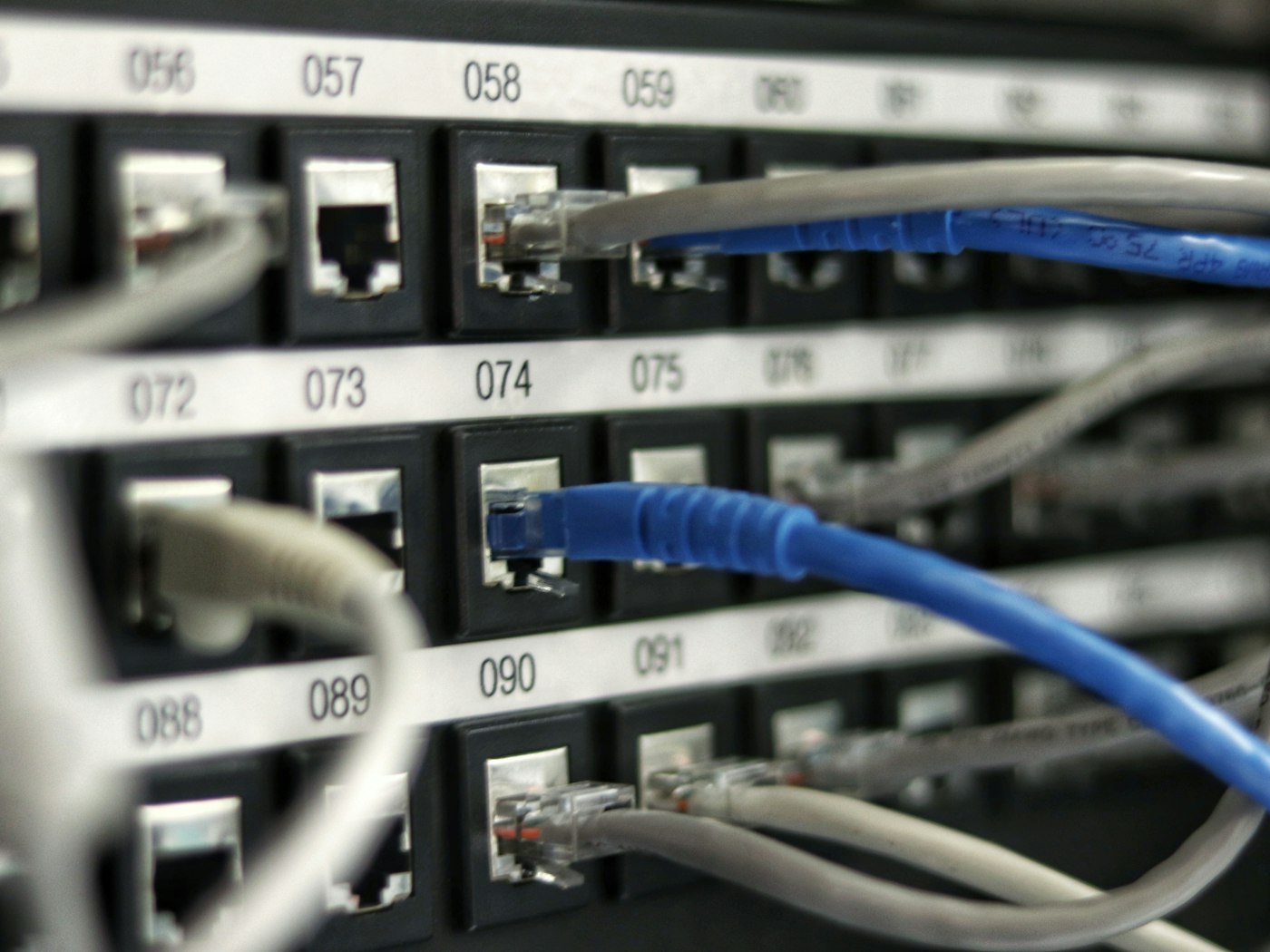 Structured network cabling terminated at a patch panel